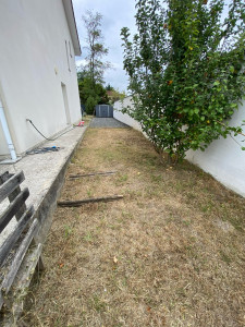 Photo de galerie - Jardin après ma prestation 