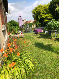 Photo de galerie - Entretien de mon jardin