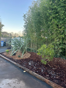 Photo de galerie - Paysagiste - Aménagement du jardin