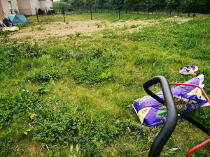 Photo de galerie - Tonte 