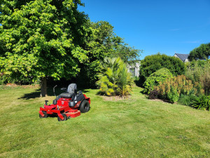 Photo de galerie - Tonte de pelouse - Débroussaillage