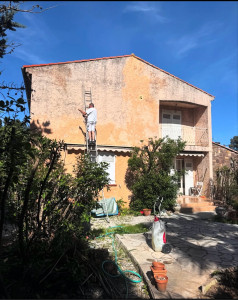 Photo de galerie - Nettoyage d’une façade au dalep 2100