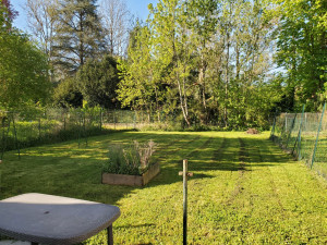 Photo de galerie - Tonte de pelouse - Débroussaillage