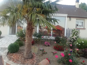 Photo de galerie - Reste à fleurir.... 