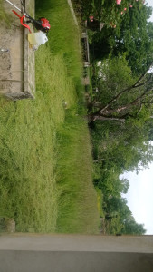 Photo de galerie - Tonte de pelouse - Débroussaillage