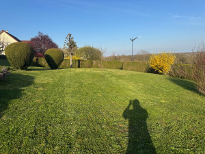 Photo de galerie - Tonte d’une pelouse de 750m2