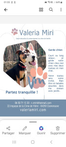 Photo de galerie - Garde chien et éducation du chien de famille. 