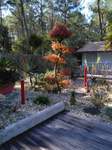 Photo de galerie - Jardin zen