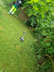 Photo de galerie - Bonjour je suis à votre service pour entretenir votre jardin je suis à votre disposition pour entretenir votre jardin . 

Pour le devis est gratuit.

Prix : je verrai ça sûr place avec là personne concernée 