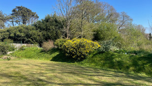 Photo de galerie - Tonte de pelouse - Débroussaillage