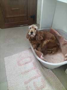 Photo de galerie - Eliott en vacance ä la maison 