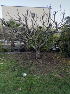 Photo de galerie - Après l'intervention 

