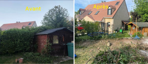 Photo de galerie - Enlèvement de la haie et un gros arbre 