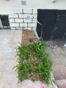 Photo de galerie - Après 