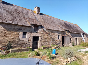 Photo de galerie - Avant le traitement et la résine