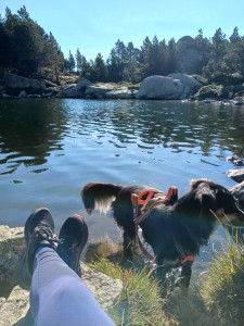 Photo de galerie - Je fais de nombreuses sorties Nature avec les animaux que je garde