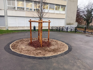 Photo de galerie - Paysagiste - Aménagement du jardin