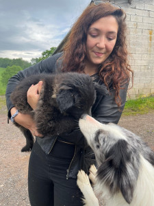 Photo de galerie - Une garde que j'ai réalisée en tant que Pt sitter