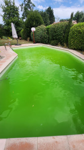 Photo de galerie - Entretien piscine