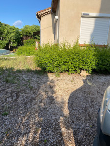 Photo de galerie - Taille de haies et d'arbustes