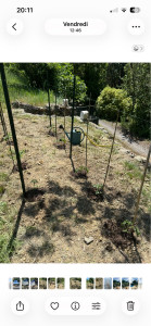 Photo de galerie - Création de potager 