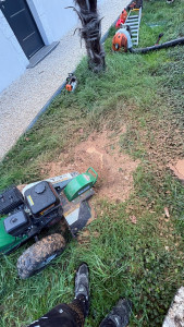 Photo de galerie - Rognage de souche 