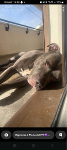 Photo de galerie - Une petite sieste au soleil ? :)