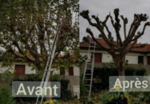 Photo de galerie - Paysagiste - Aménagement du jardin