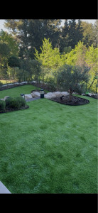 Photo de galerie - Paysagiste - Aménagement du jardin