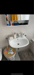 Photo de galerie - Installation d’un lavabo et son raccordement 