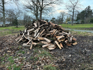 Photo de galerie - Vente de bois de chauffage 