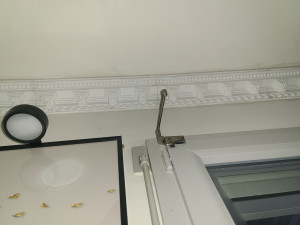 Photo de galerie - Mise en place du staffe