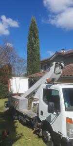 Photo de galerie - Taille d'arbres avec camion nacelle.