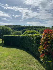 Photo de galerie - Après 
