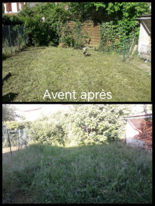 Photo de galerie - Tonte  de pelouse, et débroussaillage