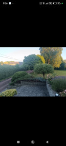 Photo de galerie - Taillage d'arbustes 