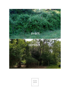 Photo de galerie - Nettoyage roncier 
