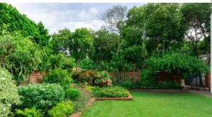 Photo de galerie - Entretien jardin (débroussaillage,  pelouse, élagage arbres, haies...)