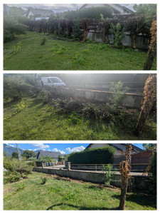 Photo de galerie - Taille de haies et d'arbustes