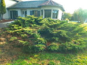 Photo de galerie - Avant 
