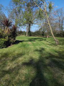 Photo de galerie - Tonte de pelouse 