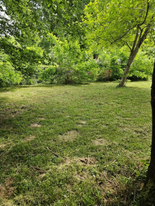 Photo de galerie - Tonte de pelouse - Débroussaillage