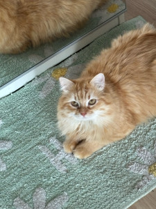 Photo de galerie - C’est Winnie !