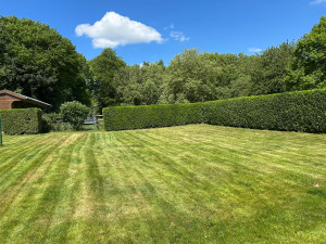 Photo de galerie - Après tonte et taillage de haies 