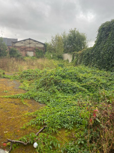 Photo de galerie - Avant chantier