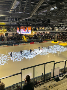 Photo de galerie - Bénévole accueil spectateurs 