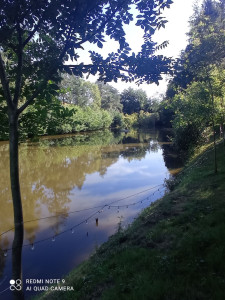 Photo de galerie - Nettoyage et agencement de massifs extérieur ou intérieur










