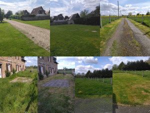 Photo de galerie - Tonte remise en état d'un terrain