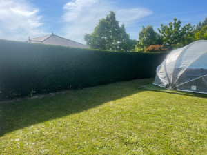 Photo de galerie - Taille de haies et d'arbustes