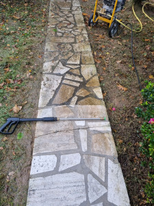 Photo de galerie - Tonte de pelouse - Débroussaillage